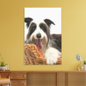 Toile Chien dans le panier 2 (Insitu(Salon))