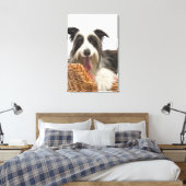 Toile Chien dans le panier 2 (Insitu(Chambre))