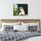 Toile Chien de boxe posé sur un rocher (Insitu(Chambre))