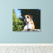 Toile Chien de boxe posé sur un rocher (Insitu (Plancher de Bois))