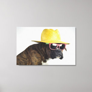 Toile Chien de boxeur avec le casquette et les verres