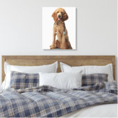Toile Chien de caniche d'or portant un stéthoscope (Insitu(Chambre))