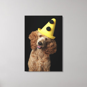 Toile Chien de caniche d'or utilisant un casquette jaune