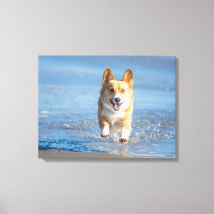 Toile Chien de corgi de Gallois de Pembroke fonctionnant