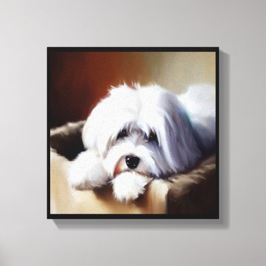 Toile Chien de Coton de Tulear (Recto)