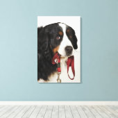 Toile Chien de montagne bernois (Berner Sennenhund) avec (Insitu (Plancher de Bois))