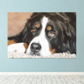 Toile Chien de montagne suisse (Insitu (Plancher de Bois))