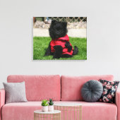 Toile Chien de Poméranie Noire regardant la caméra (Insitu(Salon))