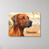 Toile Chien de Rhodesian Ridgeback (Recto)