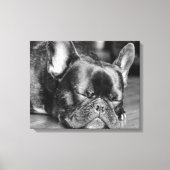 Toile Chien de taureau français dormant (Recto)