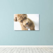 Toile Chien debout à l'étage (Insitu (Plancher de Bois))