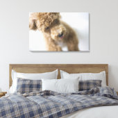 Toile Chien debout à l'étage (Insitu(Chambre))