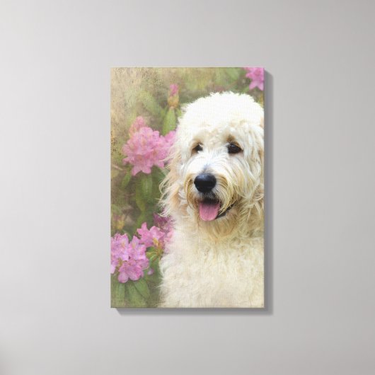 Toile chien doré blond dans le jardin (Recto)