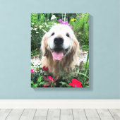 Toile Chien doré souriant parmi les fleurs rouges (Insitu (Plancher de Bois))
