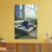 Toile Chien endormi (Insitu(Salon))