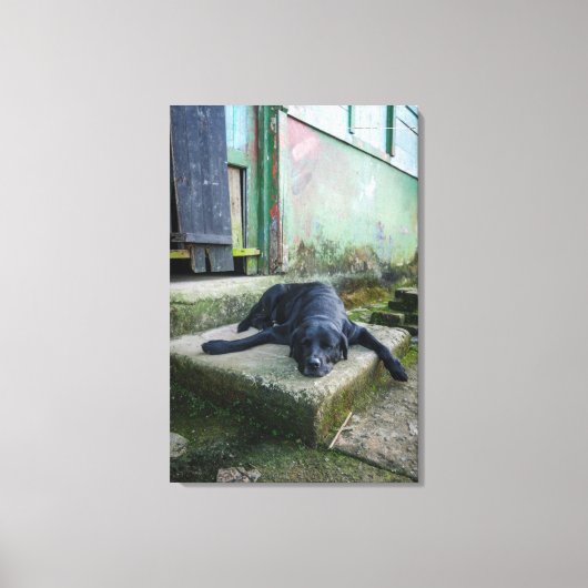 Toile Chien endormi (Recto)