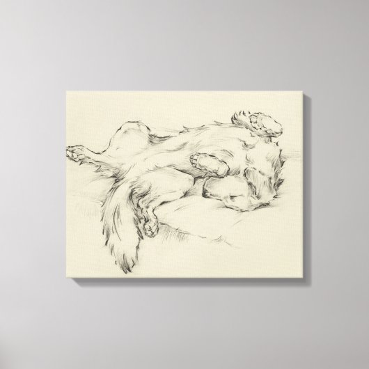 Toile Chien fatigué (Recto)