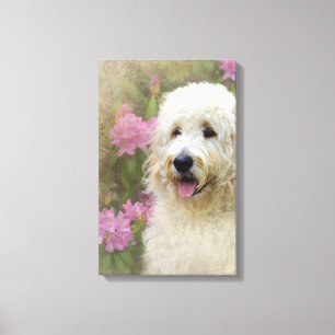 Toile chien goldendoodle blond dans le jardin