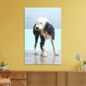 Toile Chien humide près d'une piscine (Insitu(Salon))