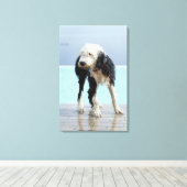 Toile Chien humide près d'une piscine (Insitu (Plancher de Bois))