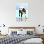 Toile Chien humide près d'une piscine (Insitu(Chambre))
