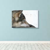 Toile Chien Husky aux yeux bleus (Insitu (Plancher de Bois))
