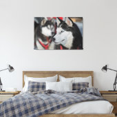 Toile Chien husky avant une course, Canada (Insitu(Chambre))