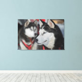 Toile Chien husky avant une course, Canada (Insitu (Plancher de Bois))