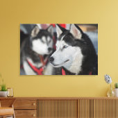 Toile Chien husky avant une course, Canada (Insitu(Salon))