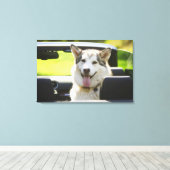 Toile Chien Husky de convertible (Insitu (Plancher de Bois))