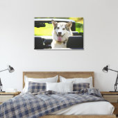 Toile Chien Husky de convertible (Insitu(Chambre))