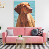 Toile Chien Magyar Vizsla (Insitu(Salon))