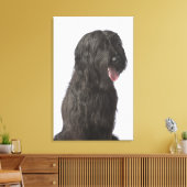 Toile Chien noir, Briard (Insitu(Salon))