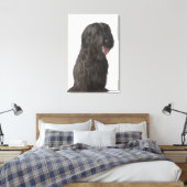 Toile Chien noir, Briard (Insitu(Chambre))