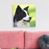 Toile Chien noir et blanc à la frontière (Insitu(Salon))