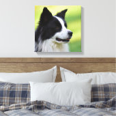Toile Chien noir et blanc à la frontière (Insitu(Chambre))