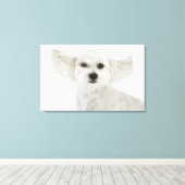 Toile Chien qui vole (Insitu (Plancher de Bois))