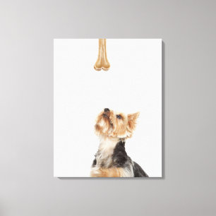 Toile Chien regardant l'os