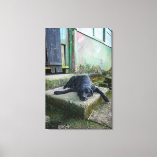 Toile Chien somnolent
