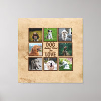 Chien Un Autre Mot Pour L'Amour | 8 Collage photo