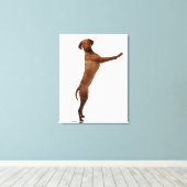 Toile Chien Vizsla (Insitu (Plancher de Bois))
