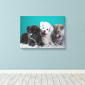 Toile Chiens (Insitu (Plancher de Bois))