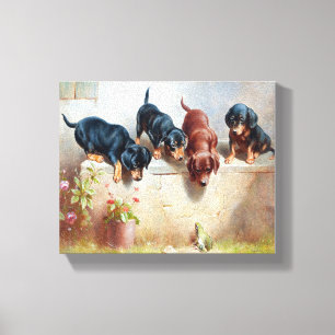 Toile Chiens Chiots Vintage Ancien Chiens