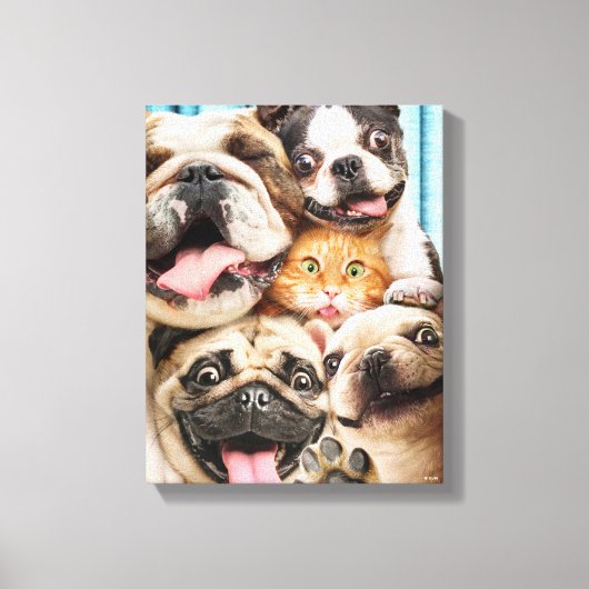 Toile Chiens et photo d'un groupe de chats (Recto)