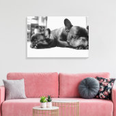 Toile Chiens français endormis côte à côte (Insitu(Salon))