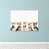 Toile Chiens identiques assis ensemble (Insitu (Plancher de Bois))