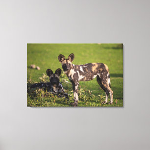 Toile Chiens Sauvages d'Afrique en Tanzanie