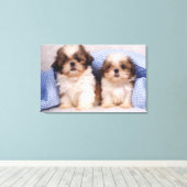 Toile Chih Tzu chippies sous une couverture contrôlée (Insitu (Plancher de Bois))