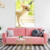 Toile Chihuahua (Insitu(Salon))