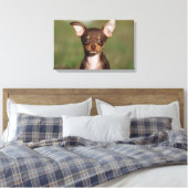 Toile Chihuahua Puppy regarde l'appareil photo (Insitu(Chambre))